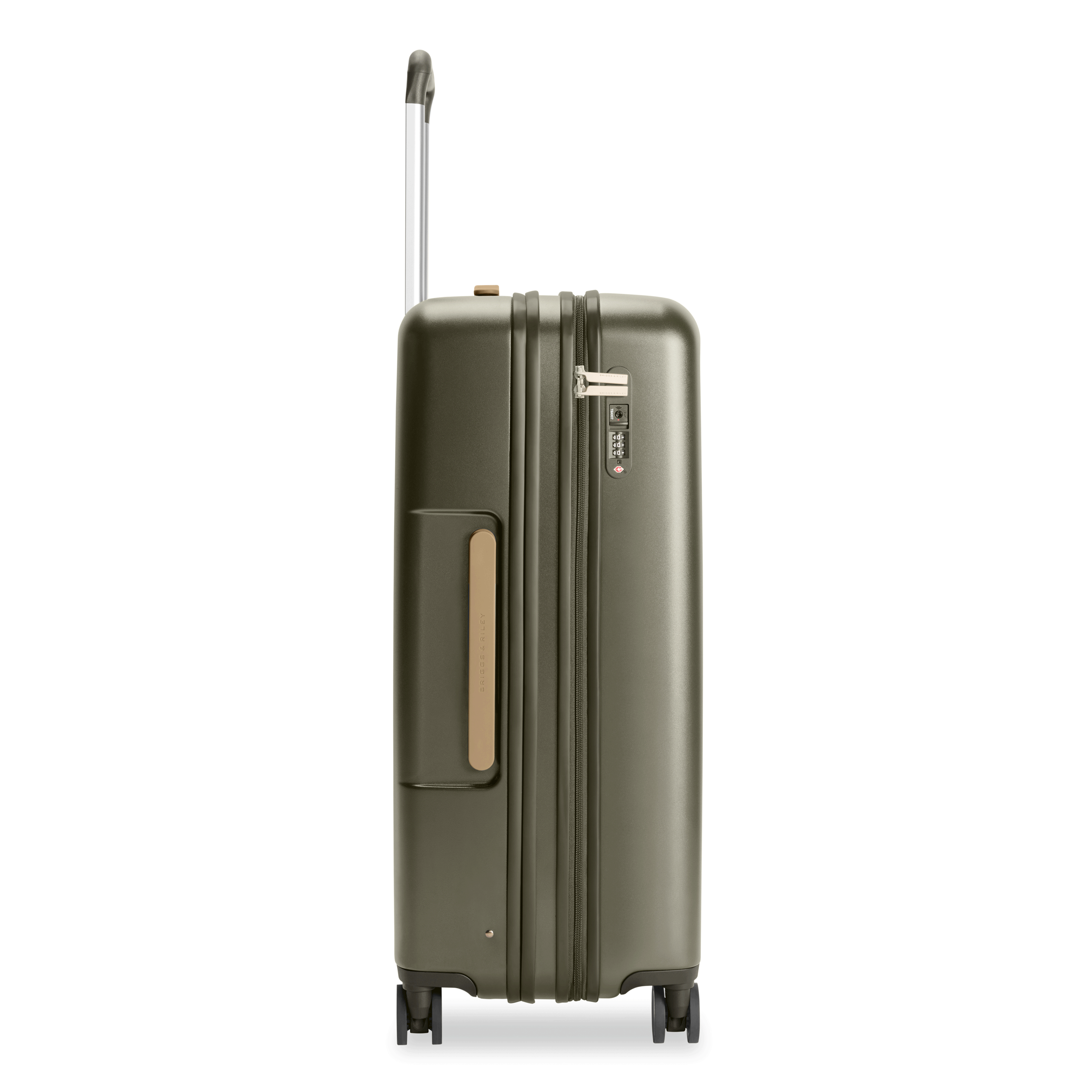 Large Expandable Spinner in Olive, GIF