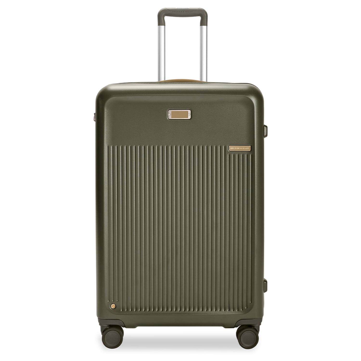 Large Expandable Spinner in Olive, Front View